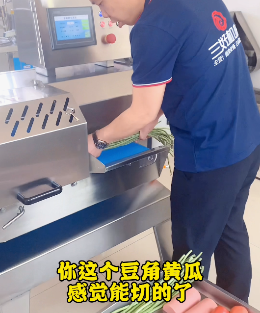 切菜機(jī)好用嗎 切菜機(jī)好用嗎