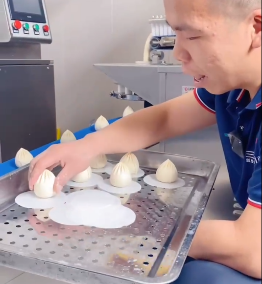仿手工包子機(jī)制作老面包子 仿手工包子機(jī)制作老面包子
