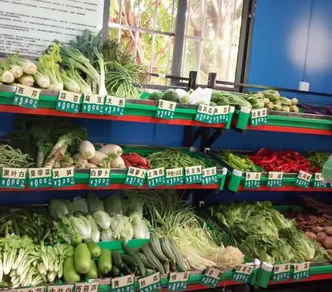 菜店需要什么樣的切菜機 菜店需要什么樣的切菜機