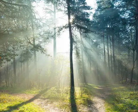 武漢面條機(jī) 武漢面條機(jī)