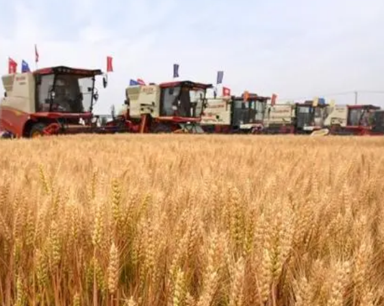 1691711479132301.png image.png